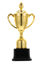 A golden trophy with a black background

Description automatically generated with medium confidence