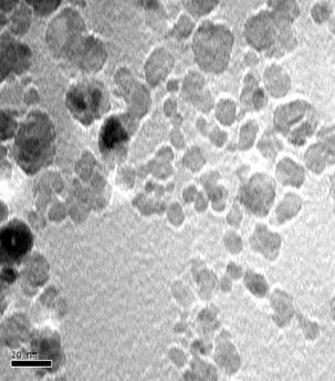 Nanoparticles